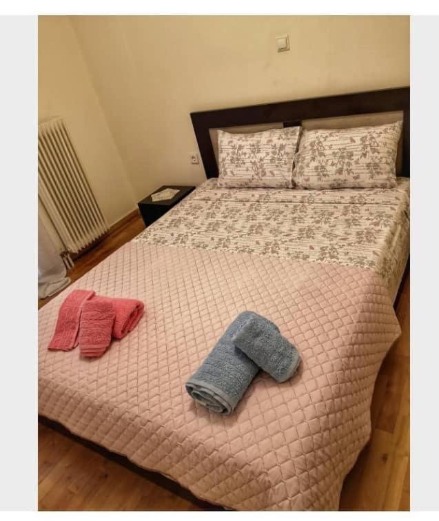 Appartement Athens Beauty 5 Minutes From Attractions Extérieur photo